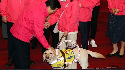 [뉴있저] 총선 오늘의 '말말말' - "안내견 만지면 안 되는데..." / YTN
