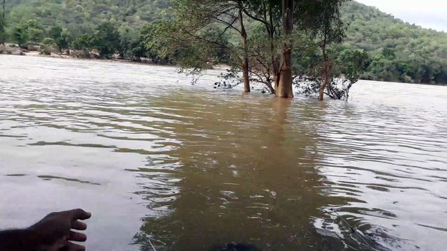 Fishing For River Carp - Carp Fishing in River - How to Catch Carp in Rivers - River Fishing