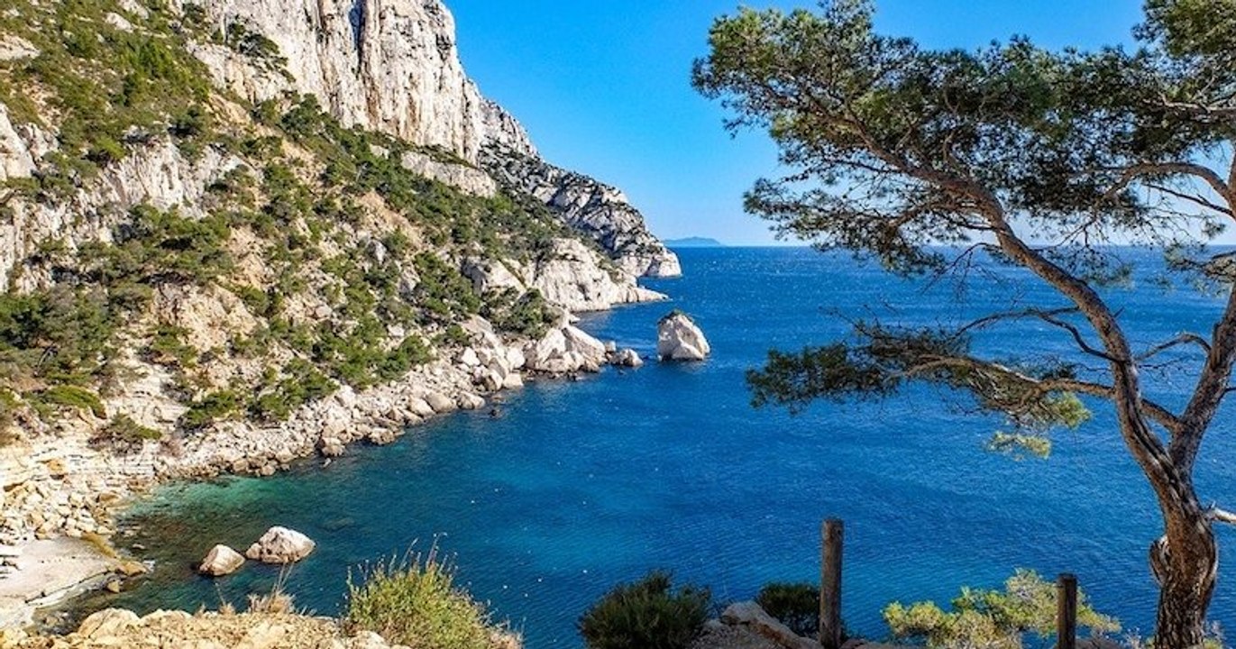 Dans les calanques marseillaises, la nature réapparaît et les « animaux sont dépollués du bruit humain »