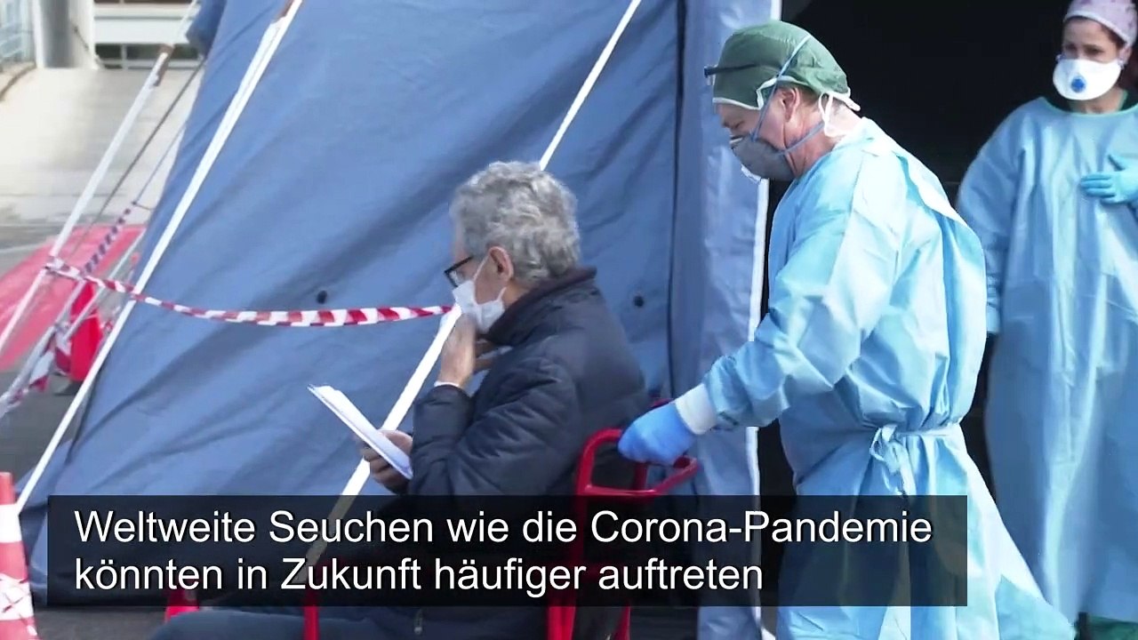 Corona-Pandemie als 'Weckruf' für mehr Naturschutz