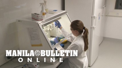 Coronavirus: 200,000 tests per day possible 'in future' says German manufacturer