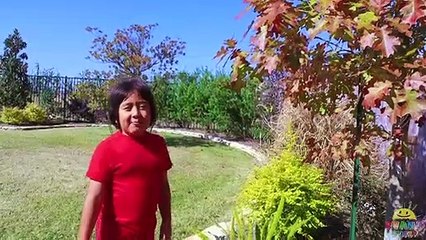 How to Make DIY Coloring Leaf Rubbing Art with Ryan's World