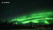 Timelapse showcases vibrant Northern Lights display in Alaska