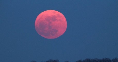 Une « Super Lune rose » illuminera le ciel le 7 avril prochain