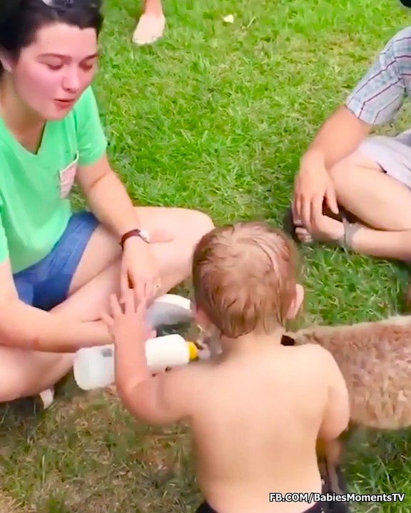 Hilarious Babies and Animals Trolling Together