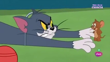 توم وجيري حلقة العصفور من أكثر الحلقات المضحكة Tom Jerry The Bird Youtube