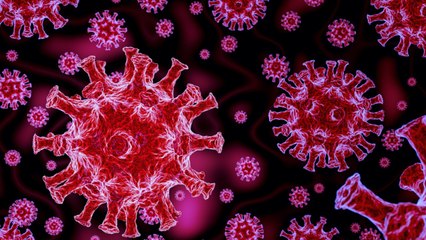 U.S. Faces 1,000 Deaths In Single Day From COVID-19