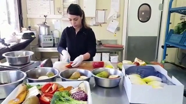 Coronavirus : le huis-clos entre soigneurs et animaux au zoo d'Amnéville