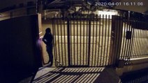 Câmera mostra homem com lanterna invadindo terreno de residência no Bairro Maria Luíza