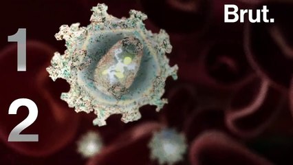 Covid-19 : 5 questions très simples au Pr. Eric Caumes