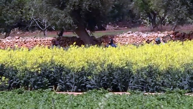 Covid-19: l'agricoltura fatica, l'industria si ripensa