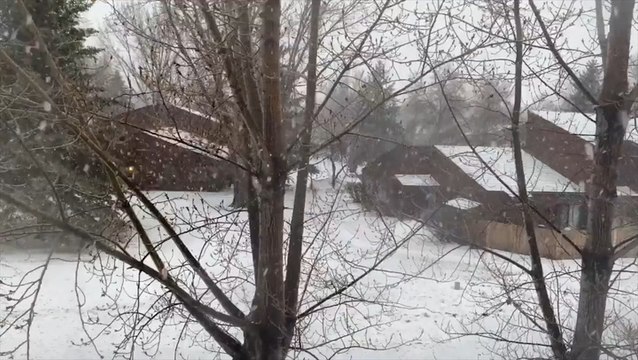 Snow blankets North Dakota