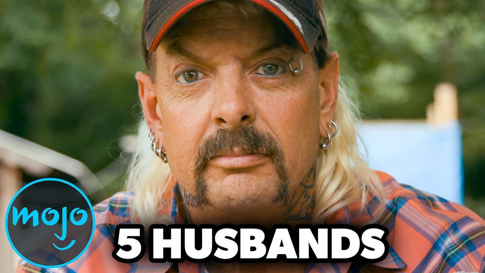 Lion Vs Tiger Lion Vs Buffalo Lion Vs Man Lions