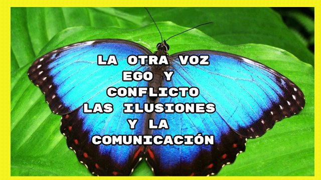 LA OTRA VOZ LAS ILUSIONES Y EL EGO.EGO Y CONFLICTO LAS ILUSIONES Y LA COMUNICACIÓN