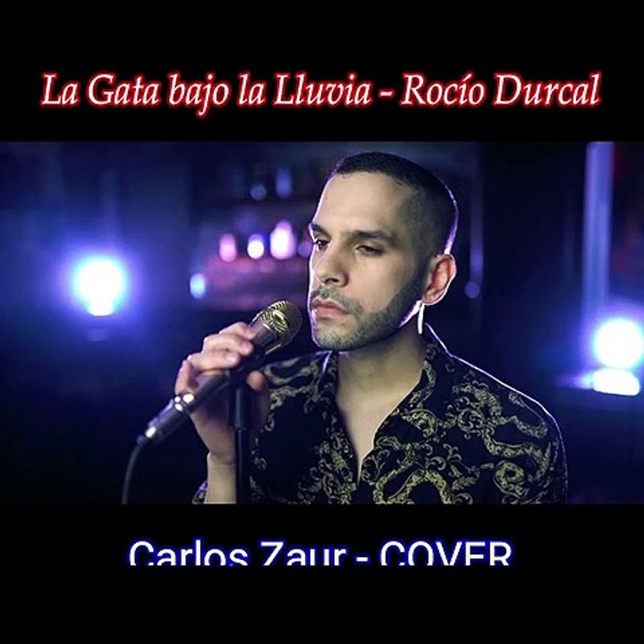 La Gata Bajo la lluvia - Rocío Dúrcal - Cover Carlos Zaur (Letra)