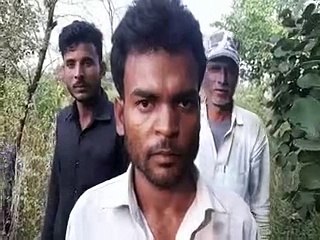 Went to feed the goats, someone killed