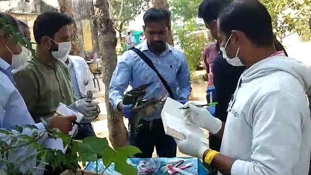 सांभर झील में हालात बदतर, बरेली व भोपाल से विशेषज्ञों की टीम पहुंची