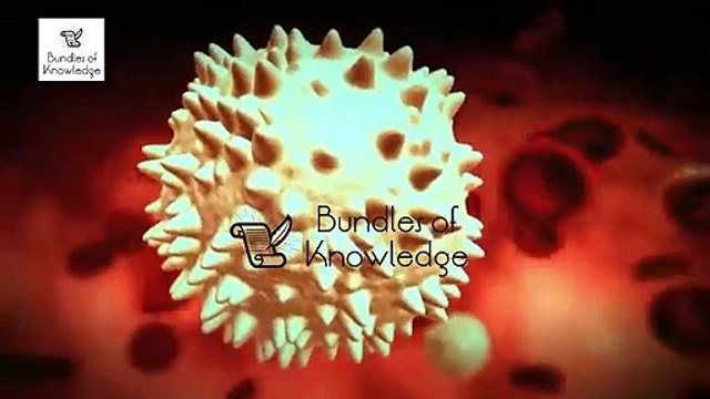 Plasma Therapy Treatment | COVID-19 | How its Works | Corona Virus Treatment - Bundles Of Knowledge