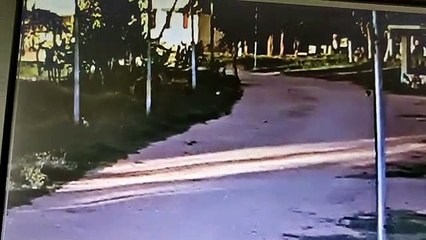 डर के साए में जी रहे गुन्नगौर गांव के लोग