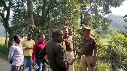 मारुति वैन