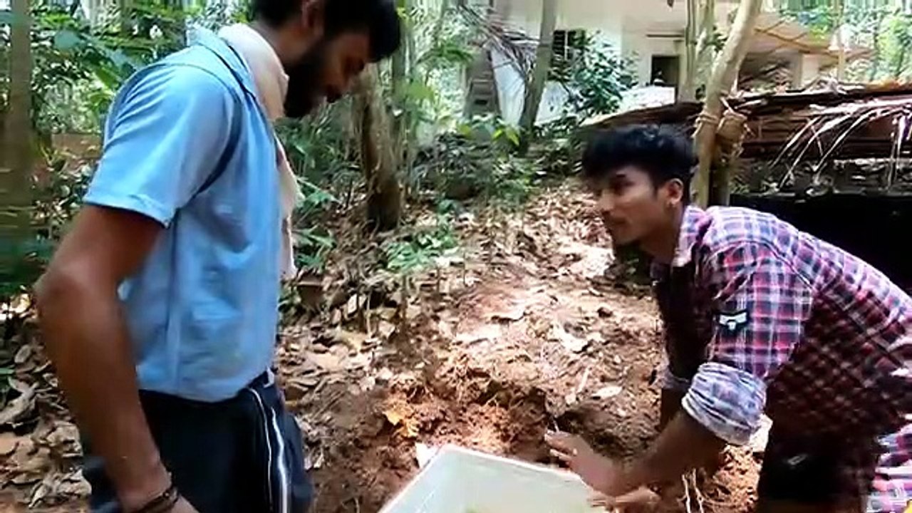 എങ്ങനെ വീടുകളിൽ ഗപ്പി വളർത്താം _ വിവിധയിനം ഗപ്പികൾ(360P)