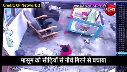 बच्चा खेलते हुए अचानक पहुंचा सीढ़ियों के पास, तभी इस बिल्ली ने किया ये कमाल