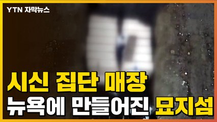 [자막뉴스] 코로나19 비극...뉴욕에 만들어진 '묘지섬' / YTN