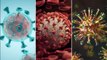 Coronavirus 'mutated into three different strains' as it spread across world