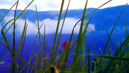 നമ്മുടെ Tik tok  വീഡിയോസ് കാണാത്തവർക്കായി _ dream(360P)