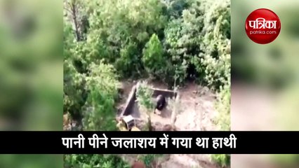 जलाशय में फंसे हाथी का किया गया रेस्क्यू