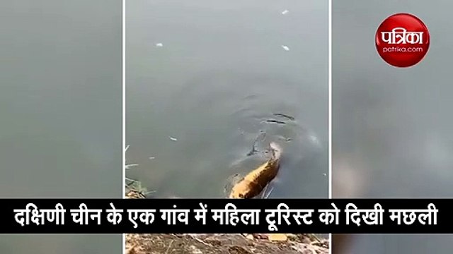 चीन में मिली ये अद्भुत मछली, जिसका मुंह है इंसान के चेहरे जैसा