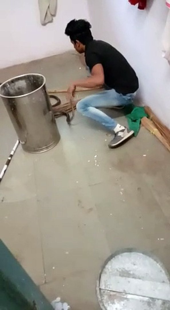 snake bite latest news