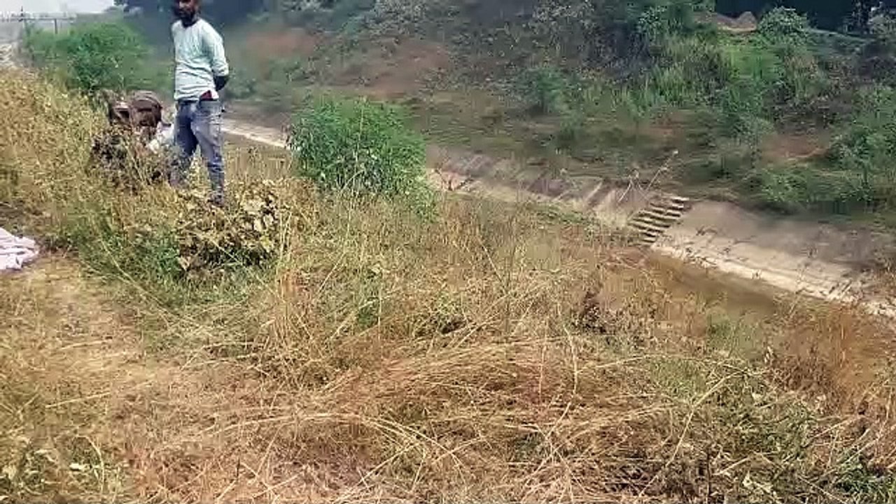 Rewa murder: young man dead body found on the banks of the canal