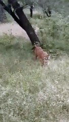 वन विभाग ने माना बुकिंग साइट को किया हैक