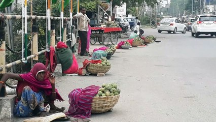 सीजनेबल सीताफल की मार्केट में बम्पर आवक