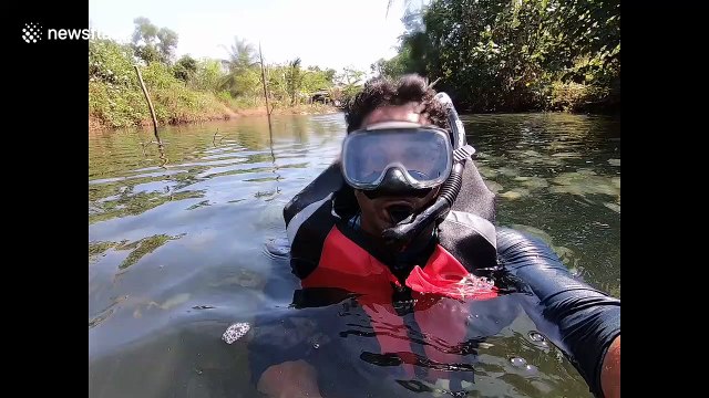 Thai man snorkels through hundreds of jellyfish bloom