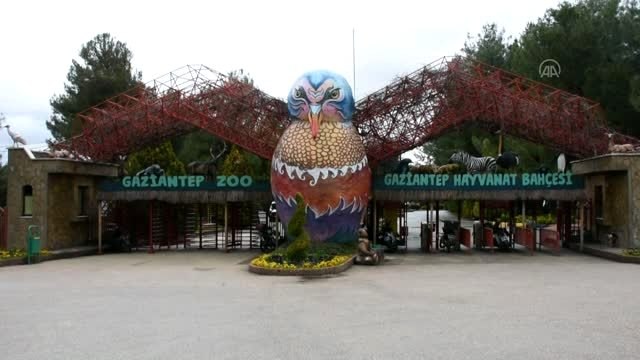 Gaziantep Hayvanat Bahçesi sakinlerine koronavirüs önlemi