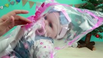 Mi Nuevo Bebé Reborn  - Videos de Bebés de Juguete en Español