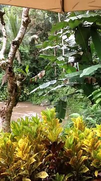 Bali - River Villa | Anthony S Casey Singapore