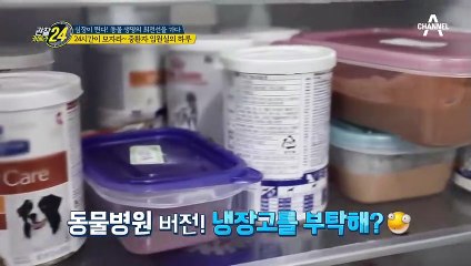 "치료 마쳤습니다~♡" 24시간이 모자란 동물병원 중환자 입원실의 하루!
