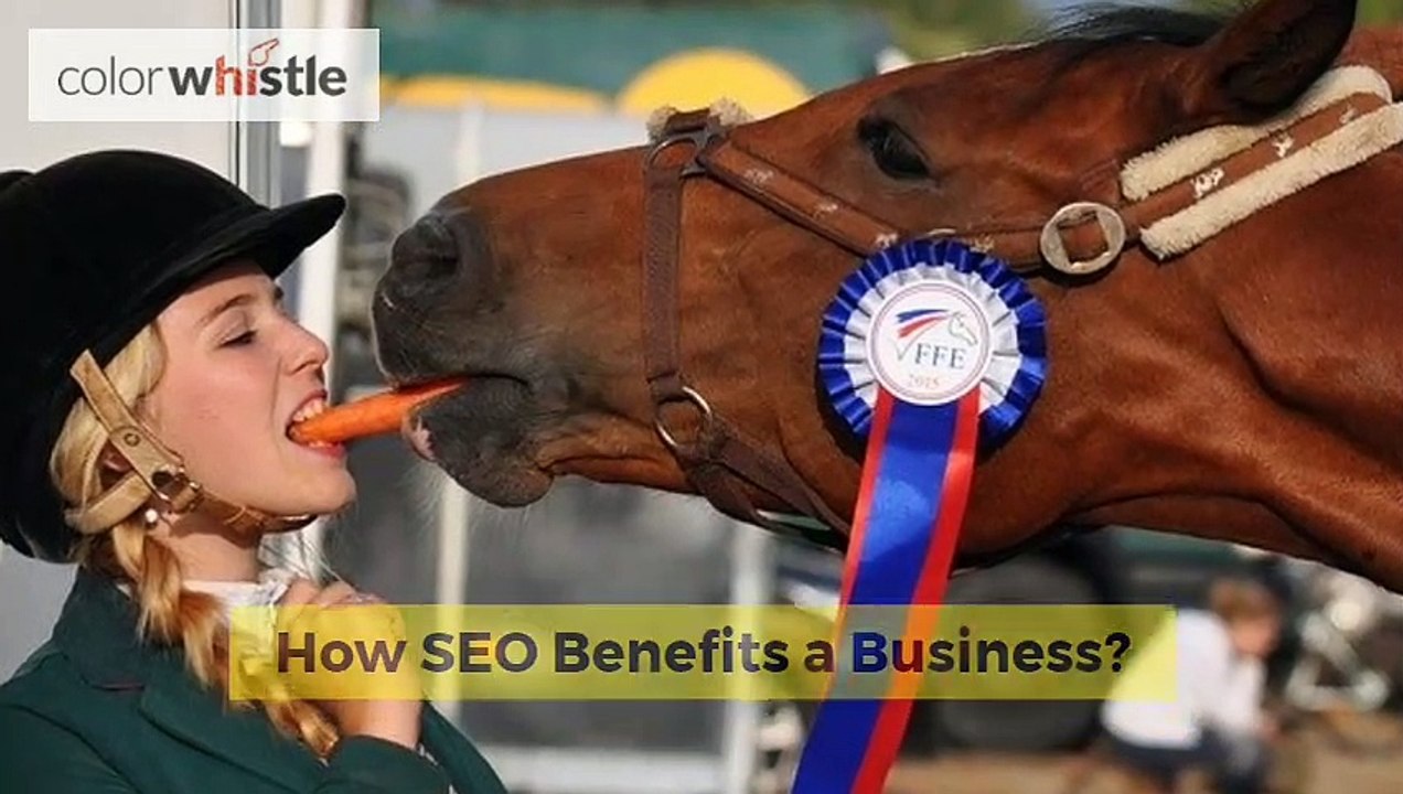 Local SEO for Small Businesses - 99% Success Rate