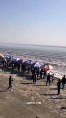Amazing Scary Ocean Waves in the East China Sea