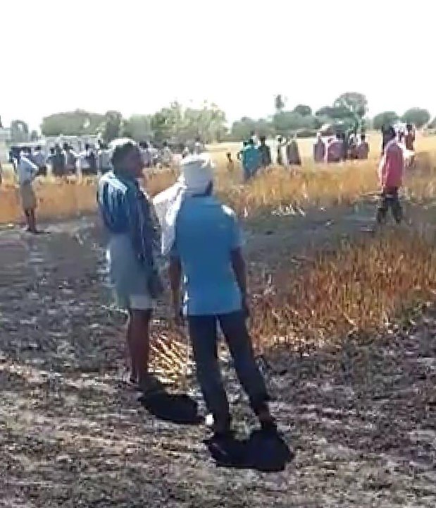 300 बीघा खेत में खड़ी फसल हुई जलकर खाक, एक चिंग...