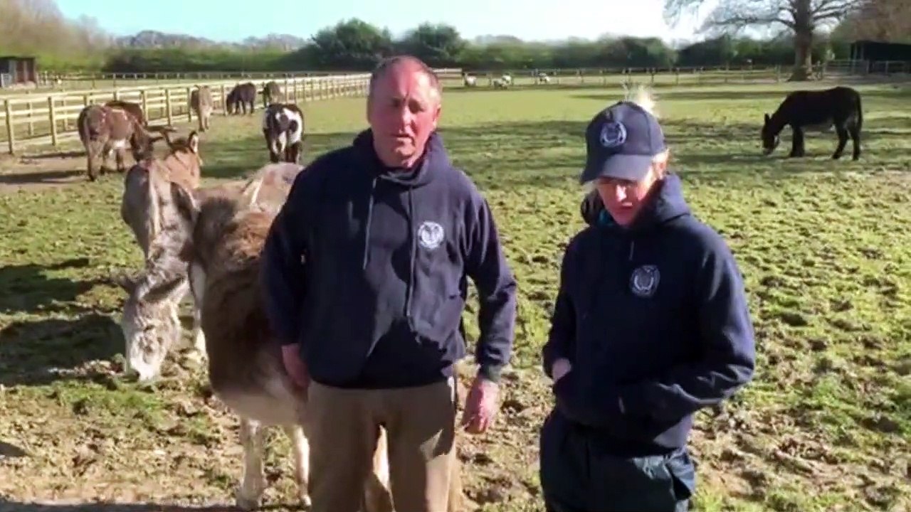 Hayling Island Donkey Sanctuary