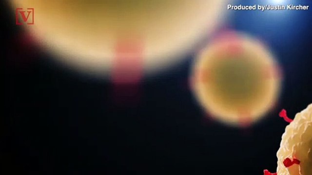 A Quarter of Small Businesses Say They Are 2 Months or Less Away From Shutting Down Amid Pandemic