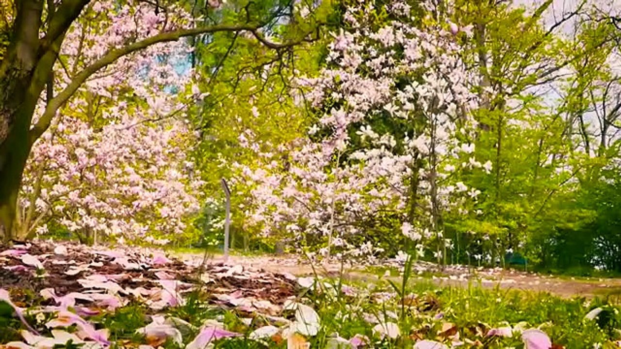 Amazing nature