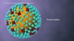 COVID-19 Animation_ What Happens If You Get Coronavirus?