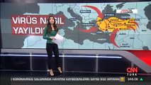 Koronavirüs Türkiye'de Nasıl Yayıldı? İl il corona virüs haritası