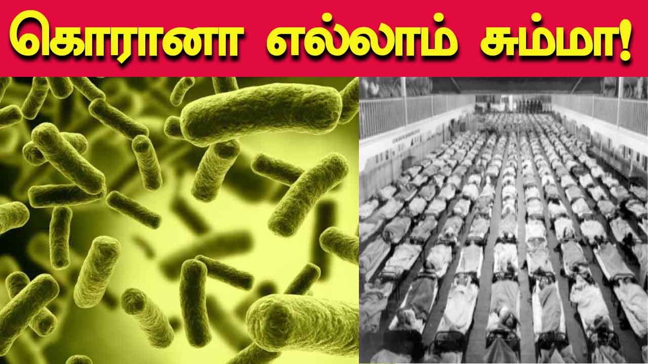 லட்சக்கணக்கான மக்களை காவு வாங்கிய கொடூரமான சில பெருந்தொற்று நோய்கள் | Oneindia Tamil