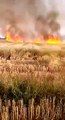 उज्जैन: शार्ट सर्किट के चलते पूरी फसल हुई जलकर खाक